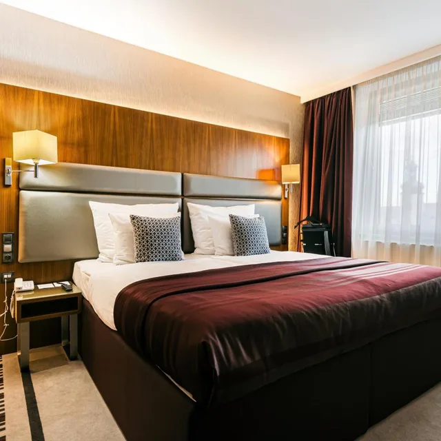جناح تنفيذي بسرير كينج، Hotel International Brno 1/6