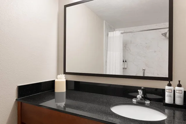 جناح تنفيذي بسرير كينج، Wyndham Garden Newark/Fremont Silicon Valley 6/7