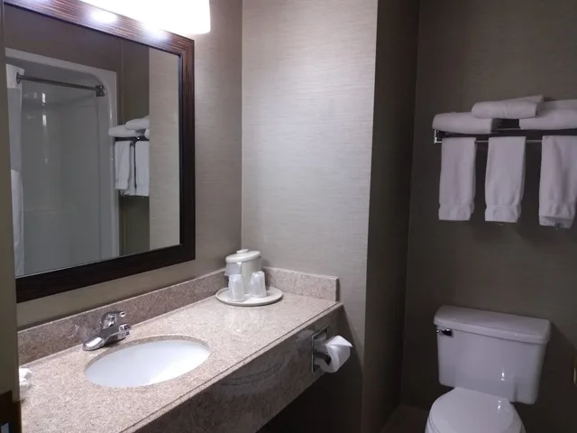 غرفة قياسية بسرير كينج مع أريكة، Holiday Inn Express Hotel And Suites Waterford 6/6