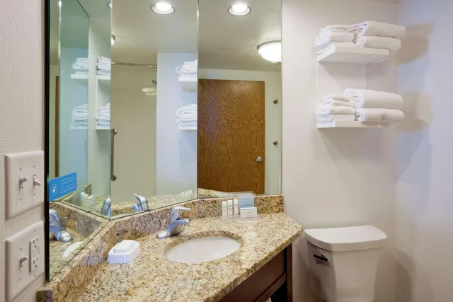 1 Bedroom, Suite, King Bed, Partial View، Hampton Inn Duluth Canal Park 3/3