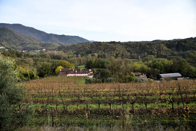 Tenuta Valdomini، Udine 30/50