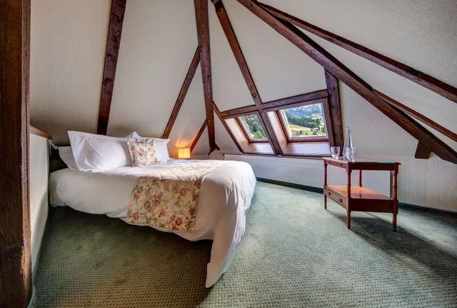 جناح جونيور بسريرين منفصلين بإطلالة على الجبل مع أريكة، Hotel Regina Wengen 2/7