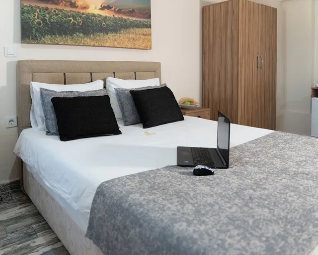 غرفة قياسية مفردة بسرير مزدوج، Hotel Zileli 4/5