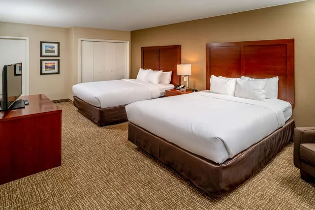 جناح بسريرين مزدوجين لذوي الإعاقة، Comfort Inn & Suites Grundy, VA 1/3