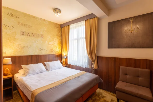 غرفة قياسية بسرير مزدوج أو سريرين منفصلين، David Hotel 5/10