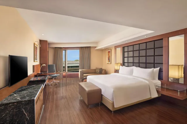 جناح جونيور، Radisson Blu Plaza Hotel Delhi Airport 4/5