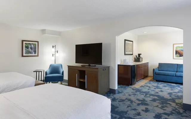 Suite, King Bed, Sofa, Kitchenette, Hampton Inn Helen 2/5