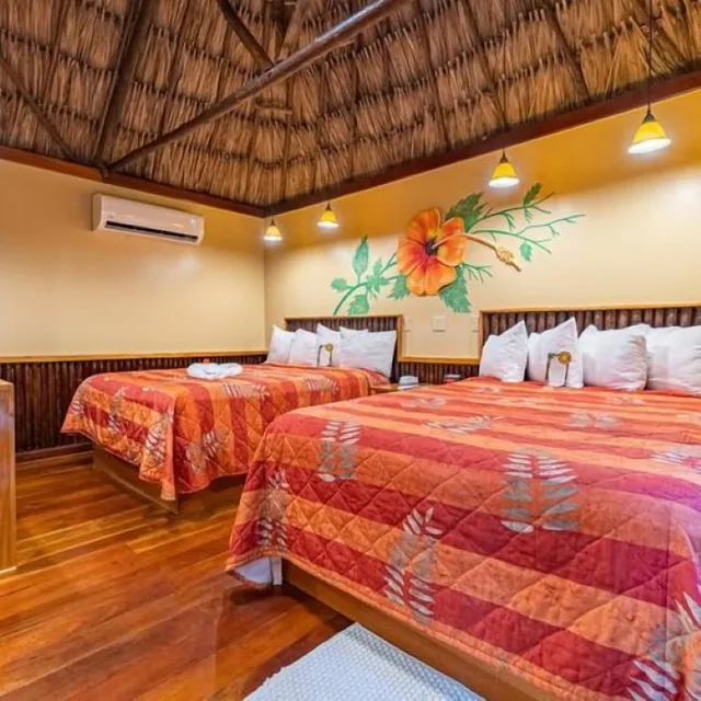 Jungle, Standard, 2 Queen Beds، Ramons Village Resort 2/2
