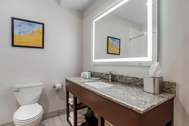 جناح سوبيريور بسرير كينج بحوض جاكوزي، Comfort Suites Hattiesburg near University 5/7
