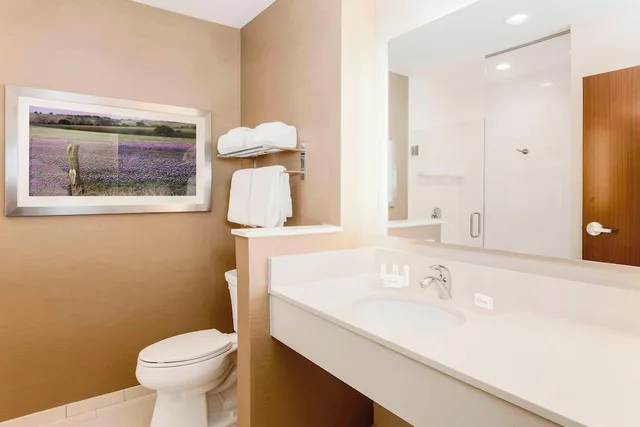 جناح تنفيذي بسرير كينج مع أريكة، Fairfield Inn And Suites Decatur 6/7