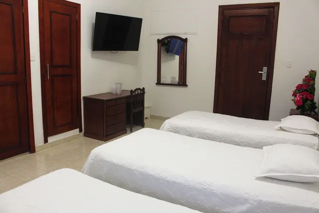 غرفة قياسية مفردة بسرير مزدوج، Hotel Dorado Plaza Centro Historico 6/11