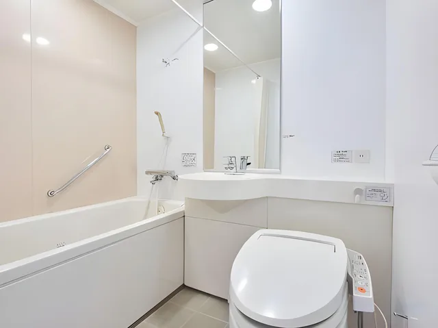 Semi Room, Standard, Double Bed، Daiwa Roynet Hotel Morioka 3/3