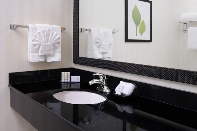جناح مع أريكة لذوي الإعاقة، Fairfield Inn Suites By Marriott Dallas Plano the Colony 3/3