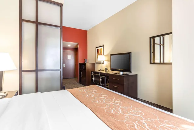 جناح بسرير كينج لذوي الإعاقة، Comfort Suites West of The Ashley 3/3