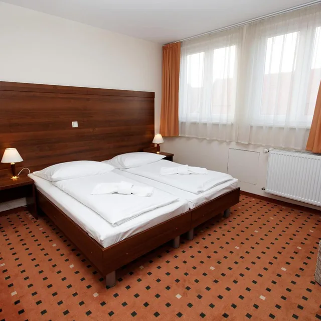 غرفة بسرير مزدوج أو سريرين منفصلين، Hotel Europa City 18/18