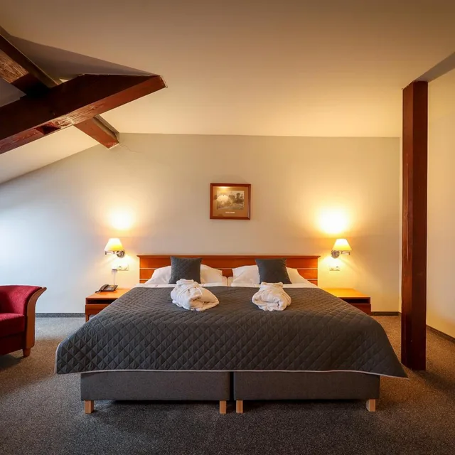 جناح جونيور، Hotel Dvorak Tabor 4/10