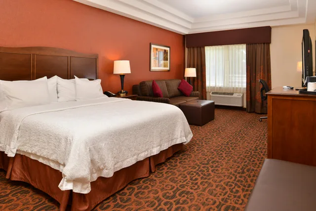غرفة بسرير كينج مع أريكة، Hampton Inn Idaho Falls Airport 2/6