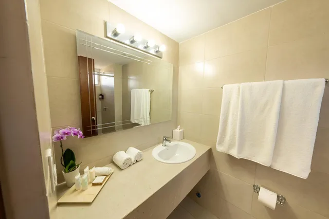 Superior, Double Bed, City View, Hotel Faranda Express Soloy and Casino, a member of Radisson Individuals 7/7