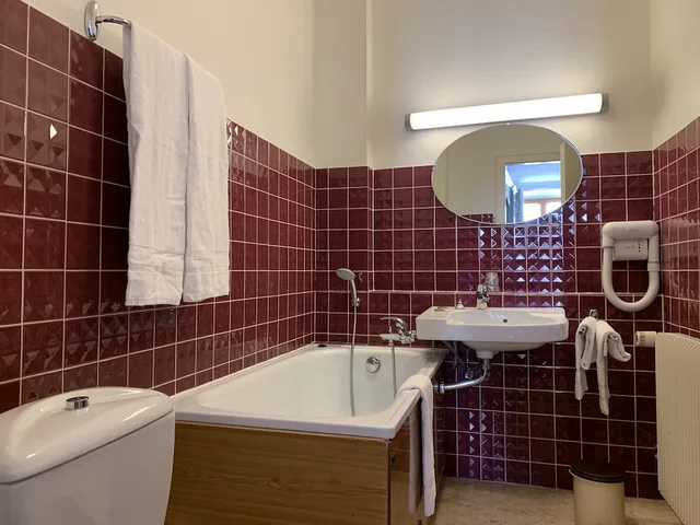 غرفة مفردة، CITOTEL LES VOSGES 9/9