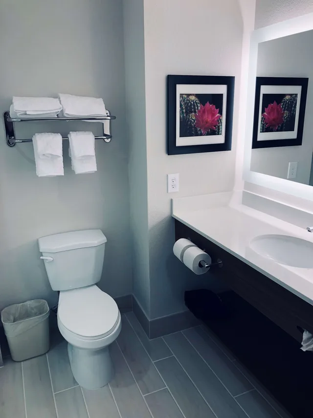 Standard, King Bed, Best Western Plus Coachella Valley Inn & Suites 4/5