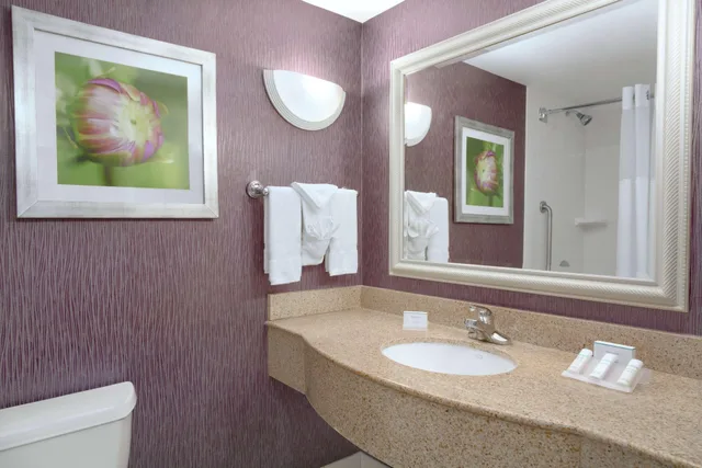 جناح بسرير كينج بغرفة نوم واحدة مع أريكة، Hilton Garden Inn-Springfield Ma 2/2