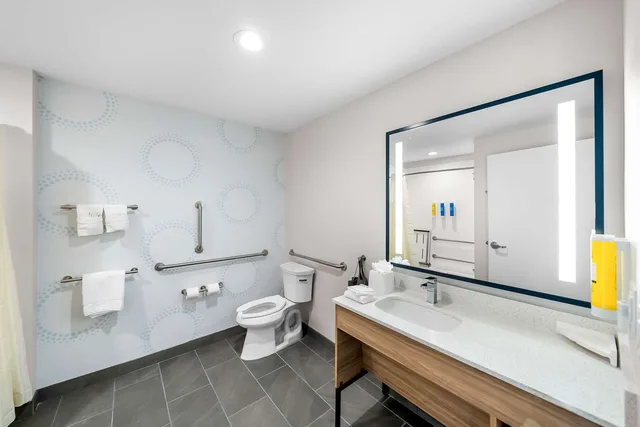 Room, King Bed, Bathtub, Accessible, Tru by Hilton Plano East North Hwy 75 3/4