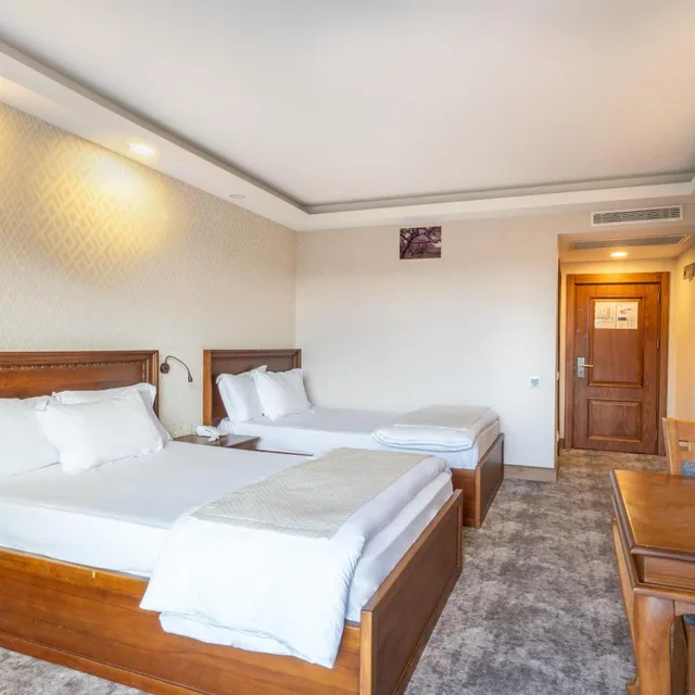 غرفة ديلوكس عائلية، Troya Otel 1/9