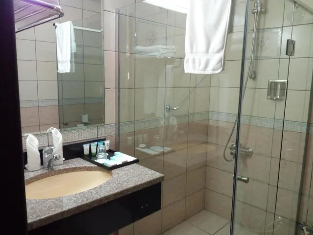جناح ديلوكس كبير بسرير كينج بإطلالة على المدينة بغرفة نوم واحدة، Royal View Hotel 4/6
