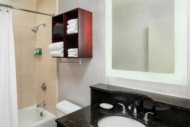 جناح بسرير كينج بغرفة نوم واحدة مع أريكة، Astor Crowne Plaza New Orleans French Quarter, An Ihg Hotel 5/9