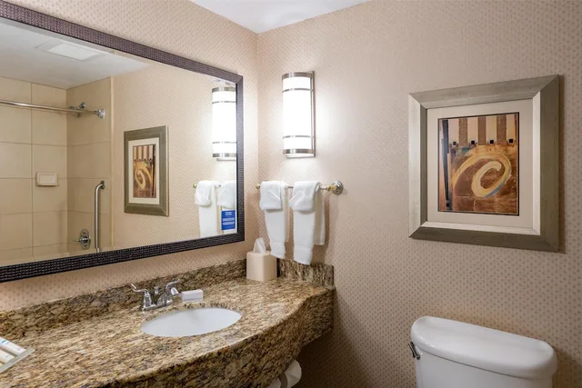 Evolution, Deluxe, Suite, King Bed، Hilton Garden Inn Billings 7/10