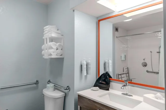 غرفة بسرير مزدوج لذوي الإعاقة، Hampton Inn Sarasota I 75 Bee Ridge 2/3