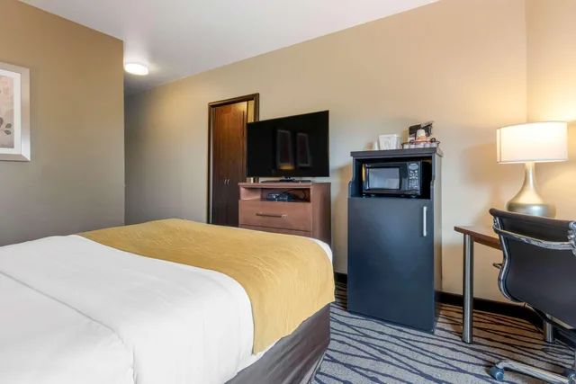 جناح بسرير كوين لذوي الإعاقة، Comfort Inn and Suites Market Airport 3/4