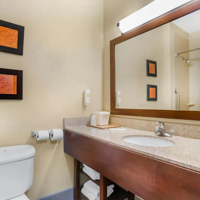 جناح ديلوكس بسرير كوين مع أريكة، Comfort Suites Montgomery East Monticello Dr 7/9
