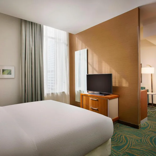 استوديو كبير بسرير كينج، Springhill Suites Houston Downtown/Convention Center 1/3