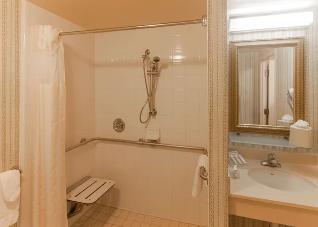 غرفة كومفورت بسرير كينج لذوي الإعاقة، Hilton Garden Inn Denver Airport 5/6