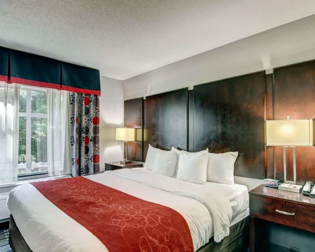 جناح بسرير كينج لذوي الإعاقة، Comfort Suites Williamsburg Historic Area 3/3