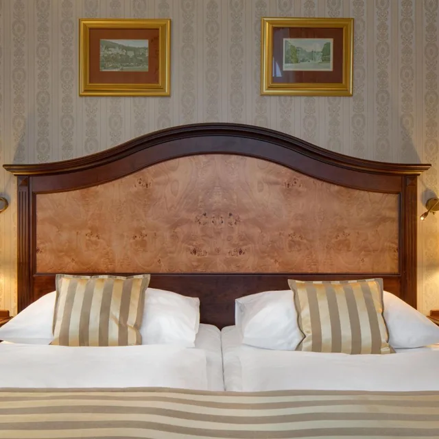 Wellness, Superior, Deluxe, King Bed، Nove Lazne Ensana Health Spa Hotel 3/7