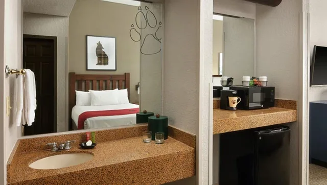 جناح عائلي بسريرين كوين مع أريكة، Great Wolf Lodge Williamsburg 9/9