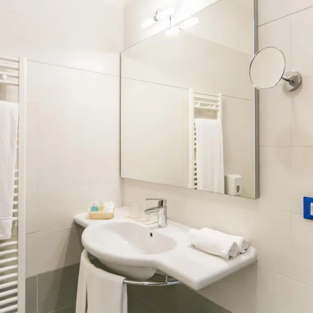 غرفة سوبيريور بسرير مزدوج أو سريرين منفصلين، HOTEL EDEN GARDA 6/7