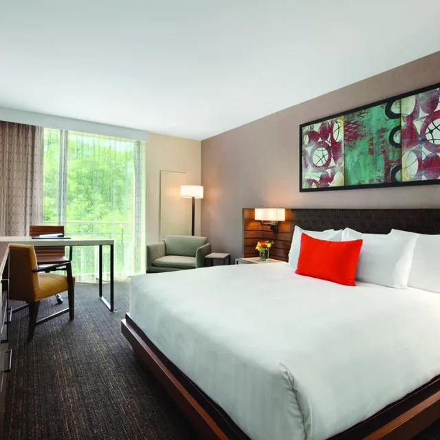 غرفة بسرير كينج بإطلالة، Hyatt Lodge Oak Brook Chicago 1/3