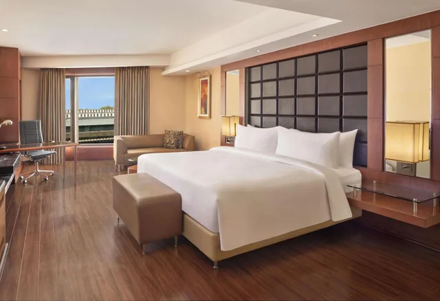 جناح جونيور، Radisson Blu Plaza Hotel Delhi Airport 3/5