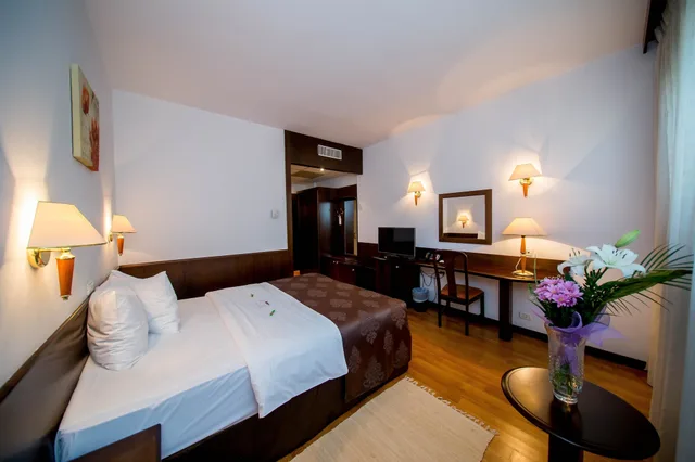 غرفة سوبيريور بسرير كوين، Best Western Central Hotel 2/6