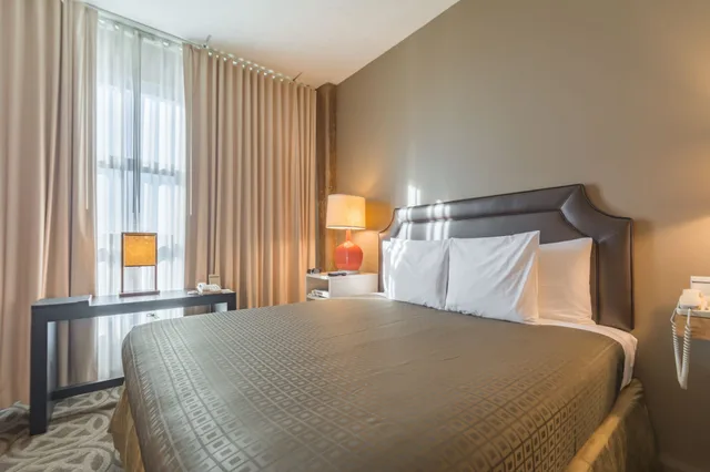 لوفت بريميوم ركني بسرير كينج، Proximity Hotel 1/3