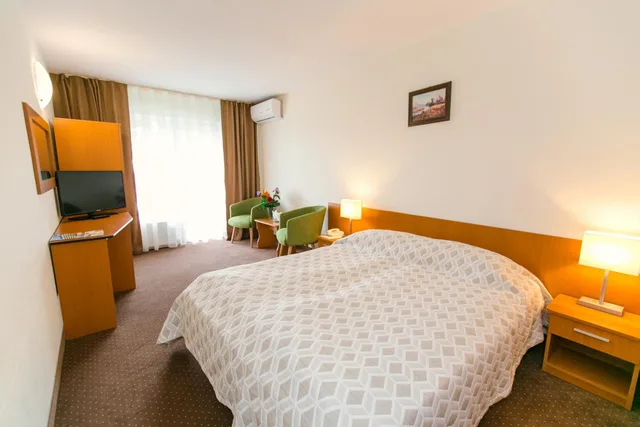 1 Bedroom, Suite, Poienita 1/5