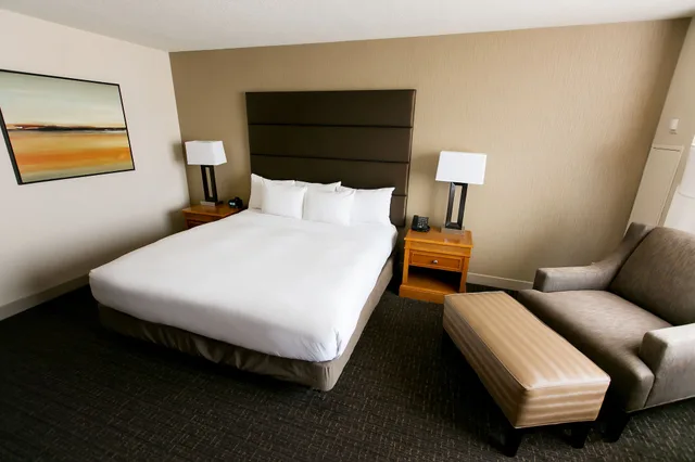 غرفة قياسية بسرير كينج لذوي الإعاقة، Hilton Salt Lake City Center 2/6