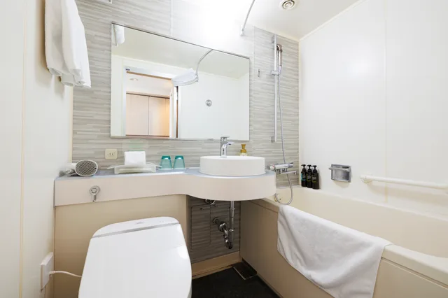 غرفة قياسية بسريرين، Ana Holiday Inn Sapporo Susukino 4/5