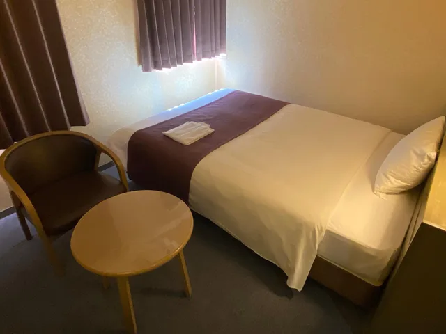 غرفة قياسية بسرير مزدوج، Shizuoka Daiichi Hotel 1/1