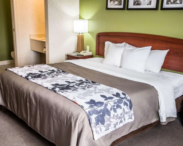 غرفة قياسية بسرير كينج، Sleep Inn & Suites Allendale, MI 3/4