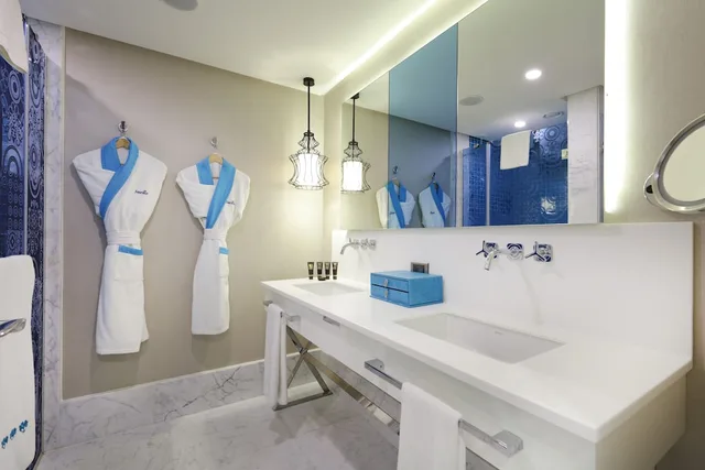 Swim Up, Infinity, Deluxe, Queen Bed، Sueno Hotels Deluxe Belek 5/5