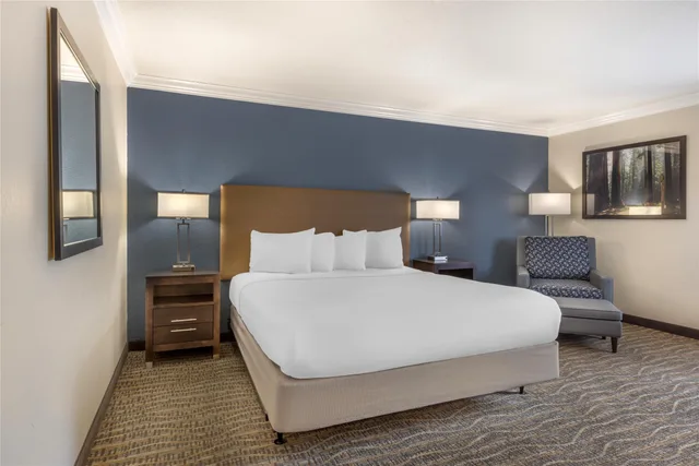 جناح بسرير كينج وسرير كوين لذوي الإعاقة، Best Western Town & Country Lodge 2/8